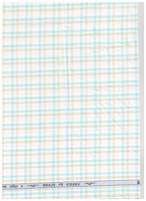 Arvind tresca giza cotton shirt fabric