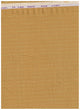 Arvind Tresca Linen Shirt Fabric
