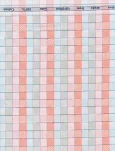 ARVIND COTTON SHIRT MULTI COLOR CHECKS