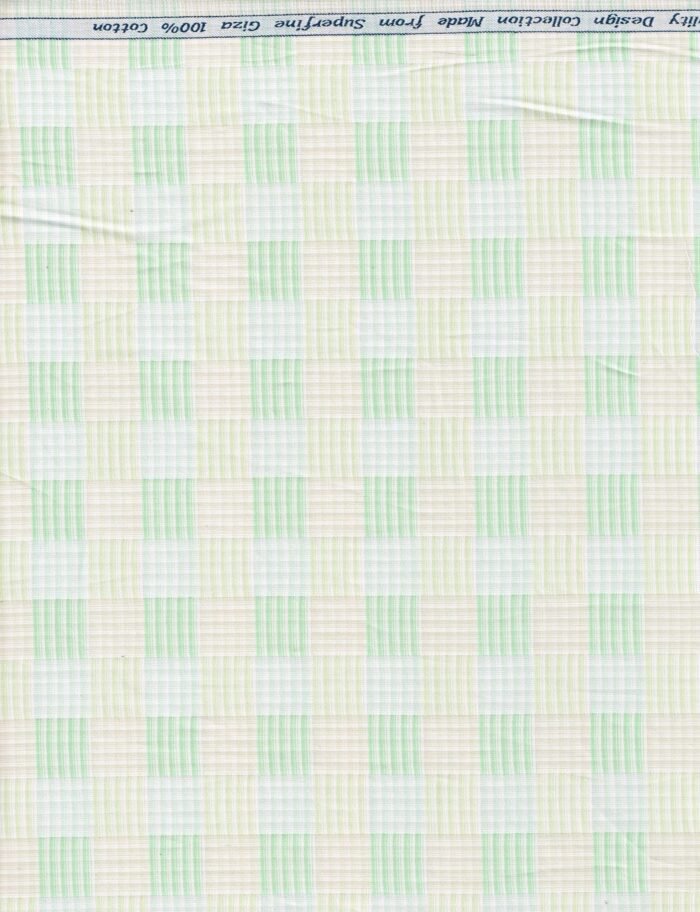 Arvind Peppermint Green Checsk Shirting Fabric