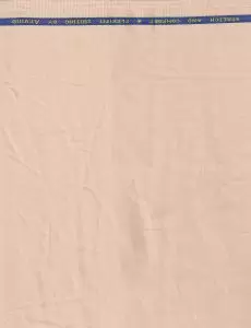 Arvind Ivory Cotton Suiting Fabric
