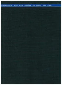 RAYMOND POLYWOOL SUITING