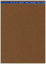 RAYMOND POLYWOOL SUITING