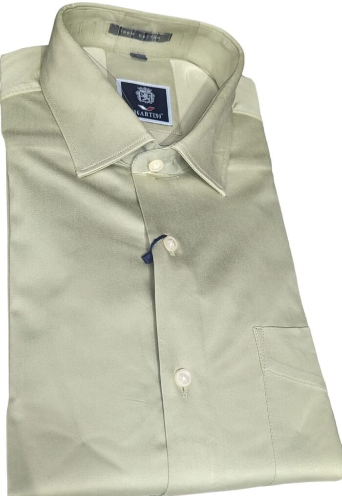 Pistachio Green Readymade Shirt