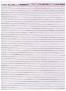 Arvind Light Grey Linen Striped Shirting Fabric