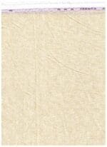 Arvind Beige 70 lea shirting fabric