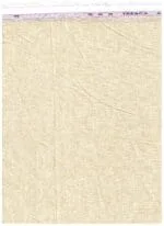 Arvind Beige 70 lea shirting fabric